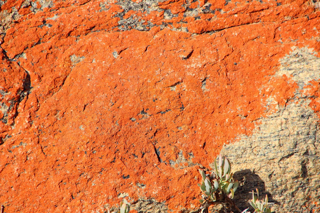 Travel South Africa. Vast and unspoilt coast line - Trip to Namaqualand. rocks