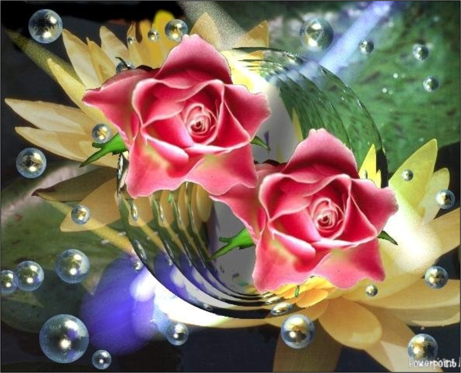 http://www.chezjoeline.com/app/download/9957639595/Jolies+fleurs+..+11+11+2014.pps?t=1415813835