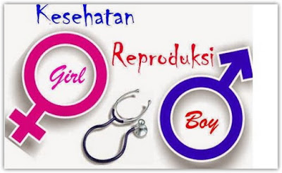 kesehatan reproduksi pria dan wanita
