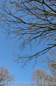 IMG_20180418_155105