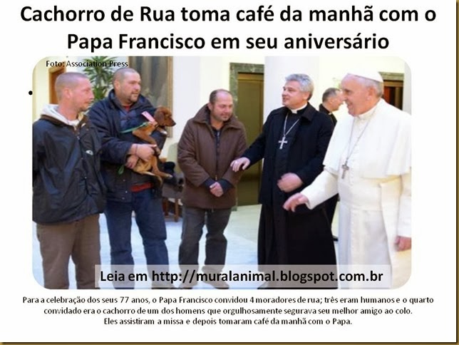 Cachorro de Rua toma café da manhã com