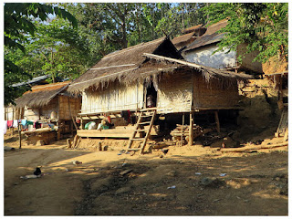 leptospirosis en zona rural