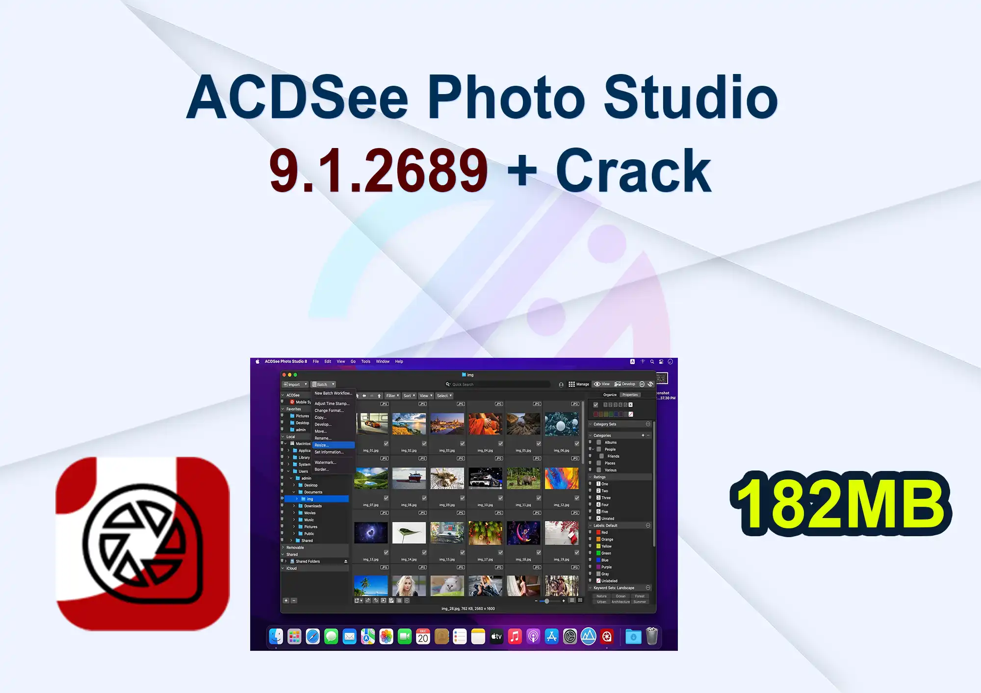 ACDSee Photo Studio 9.1.2689 + Crack