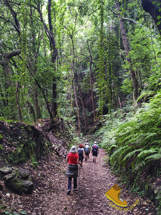 Regresando por el sendero desde el Mirador del Espigón Atravesado