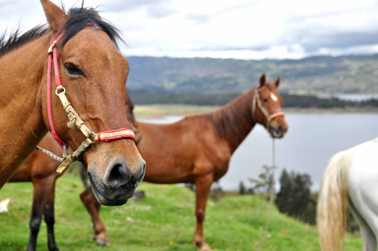 Guatavita es un sitio para hacer turismo cerca a Bogotá