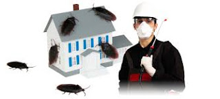 Pest Control services in Baroda