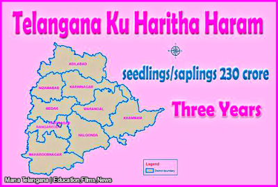 Telangana ku Haritha Haaram : When can people see the effect of Haritha Haaram programme