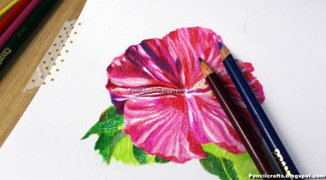 Easy Colour Pencil Shading Drawings Of Flowers