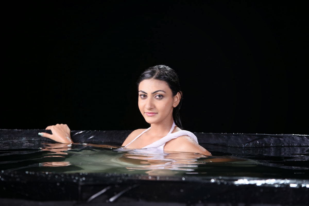 Neelam Upadhyay Hot Photos in Wet White Saree from Action 3D Movie ...