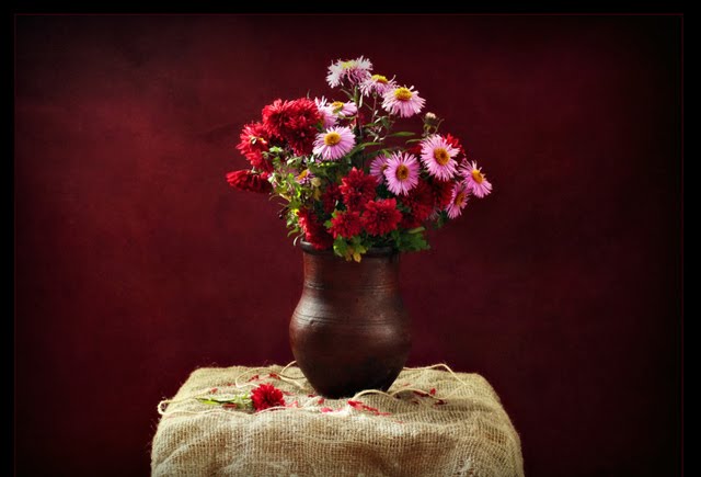 ideas for still life photography