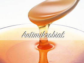 manfaat madu bagi tubuh sebagai antimikrobial