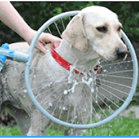 Woof Washer 360 lavage pour chien