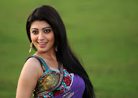 Cute, Pranitha, In, Designer, Saree