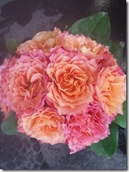 20150627_102952
