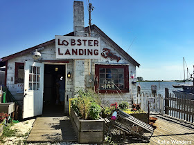 Lobster Landing of Clinton, Connecticut 