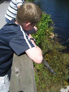 Spencer and an Alligator