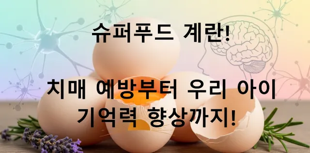 계란 이미지 바탕에 슈퍼푸드 계란 문구를 표현함