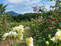 洋風庭園は比叡山を遠景に望む。