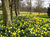 Blenheim Palace gardens