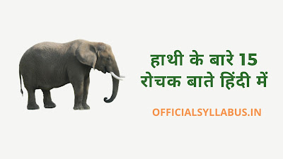 About Elephant In Hindi