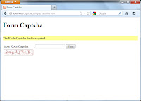 Error message blank input field captcha