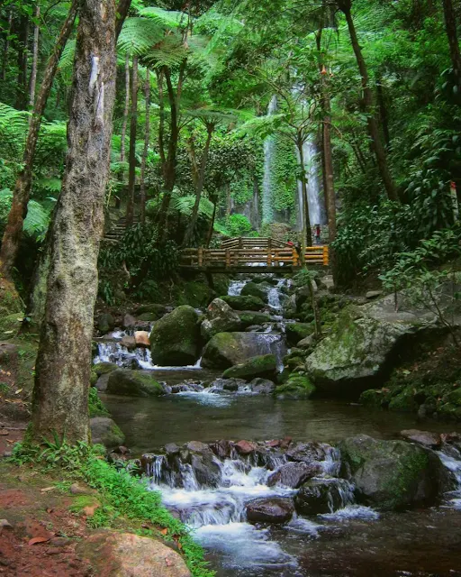 pemandangan air terjun jumog