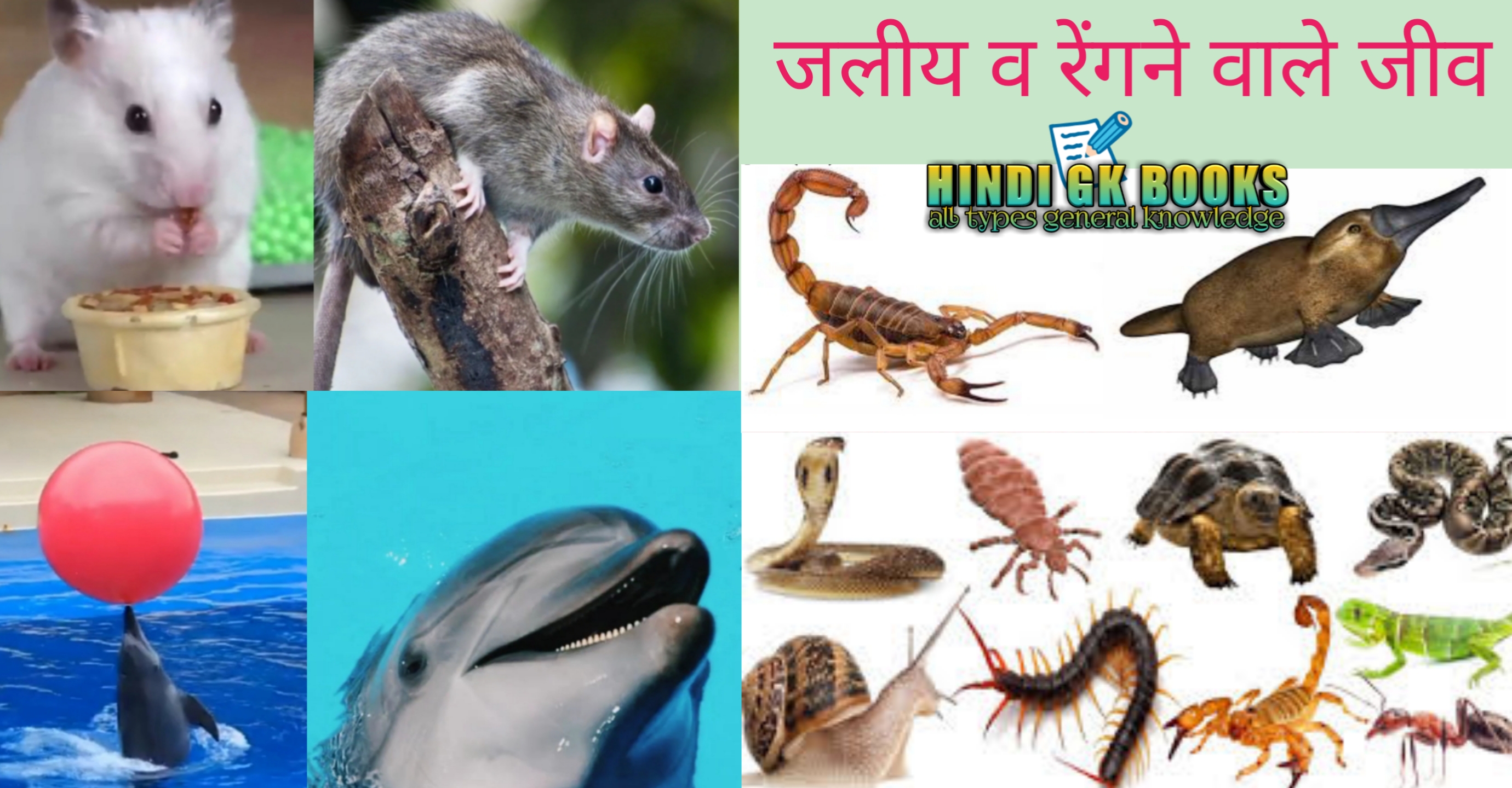 जीव जंतुओं से Related गजब के Facts | Amazing facts related to aquatic,  reptiles etc.
