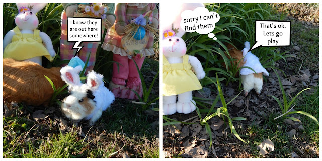 #Cinnamon lost the #Easter baskets. CarmaPoodale.com