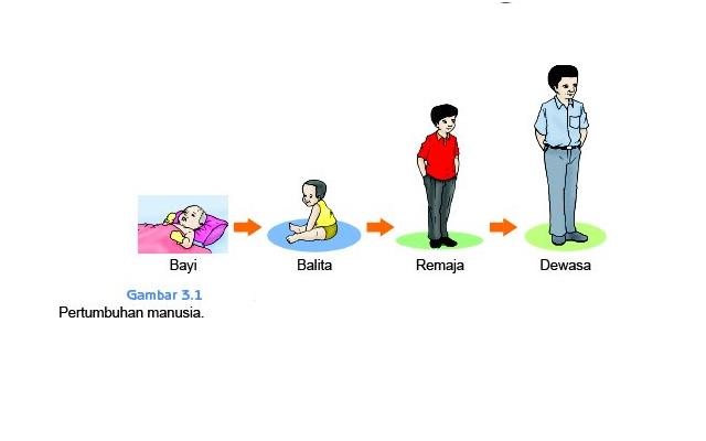 dunia IT pertumbuhan  manusia 