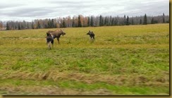 WP_20131005_011
