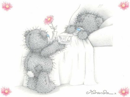 bears_60