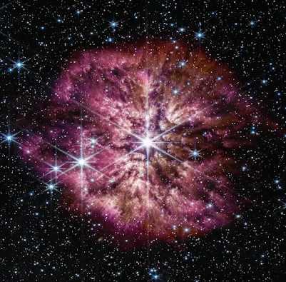 WR 124. wolf Rayet stars are a class of their own