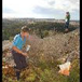 View album