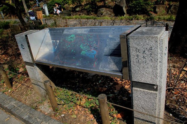 日本 東京 上野公園 櫻花