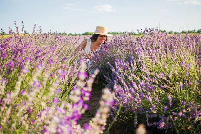 adina nanes summer lavender