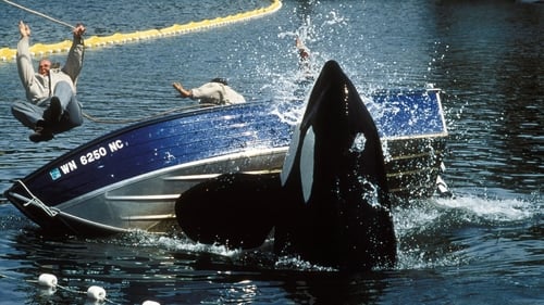 Liberad a Willy 2 1995 online hd subtitulada