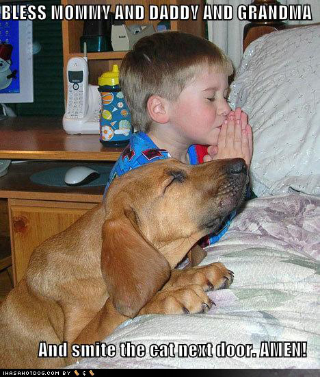 funny-dog-pictures-praying-dog-boy-bed-funny kids pics,funny kids wallpaper, funny kids picture,funny people-