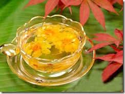 Chrysanthemum tea 01