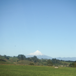 View album