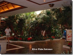 RiverPalm3[1]