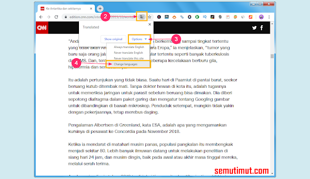 cara mengaktifkan auto translate di google chrome pc