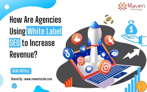 How Are Agencies Using White Label SEO to Increase Revenue