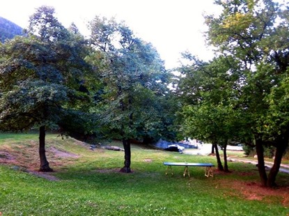 2015 Camp Fall Cleanout 17