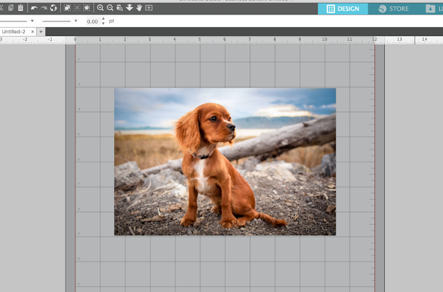 Silhouette Studio v4, tracing, trace photo, tips and tricks, edit points