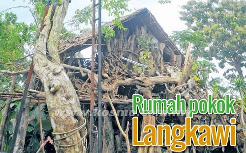 Rumah Pokok Unik Di Langkawi Engku Muzahadin