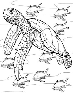 Sea Turtle Swim At Sea With Fish Coloring Pages