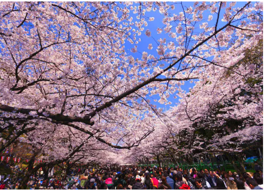 Ueno Park
