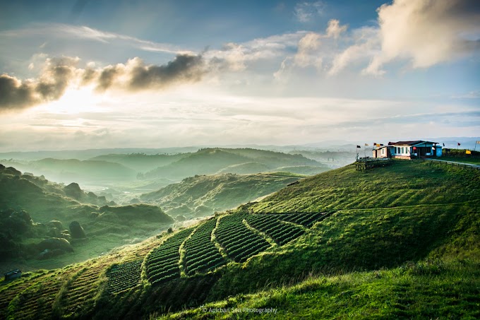 Meghalaya Tales