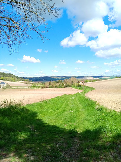 View near Maire, Vienne, France. Photo by Loire Valley Time Travel.