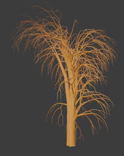 Willow tree Plant free fbx download